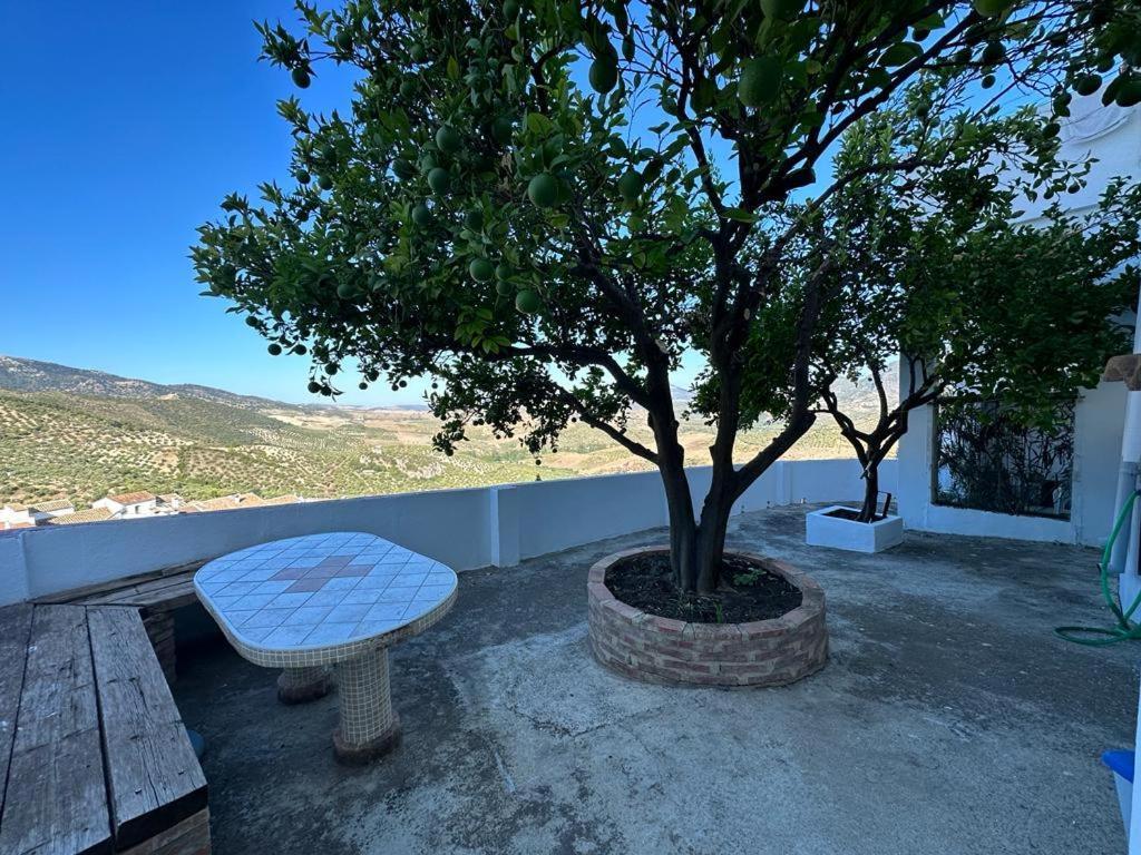 Apartamento Antonia Zahara De La Sierra Exteriér fotografie